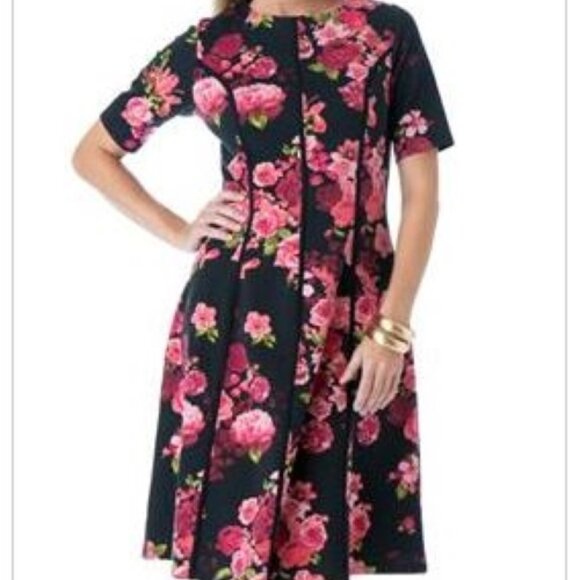 Roaman's Dresses & Skirts - NEW Roaman's Black Strawberry Floral Print Piped Accent Dress SS Zip 24W